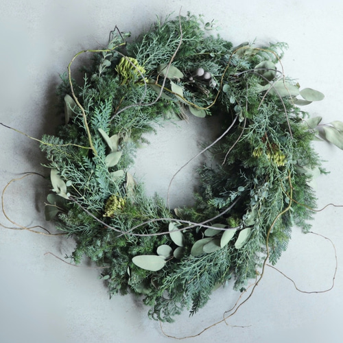 50cmの 大きなクリスマスリース フレッシュグリーン フレッシュリース