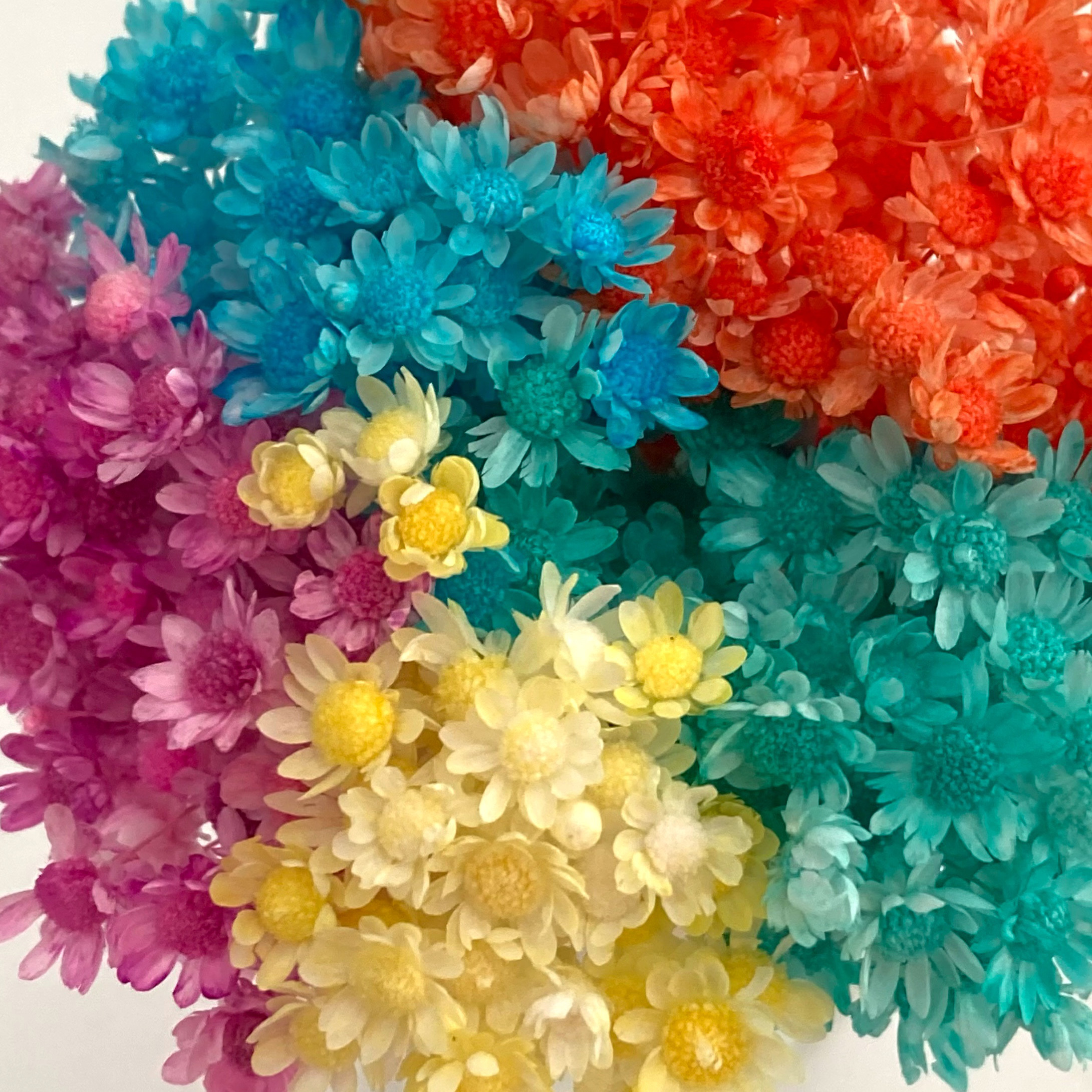 アクセサリー ハーバリウムボールペン　レジン 花材 スターフラワーミニ　オーダー