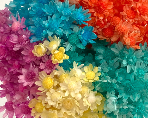 0778671448d2a4fa89c18f66055b1e