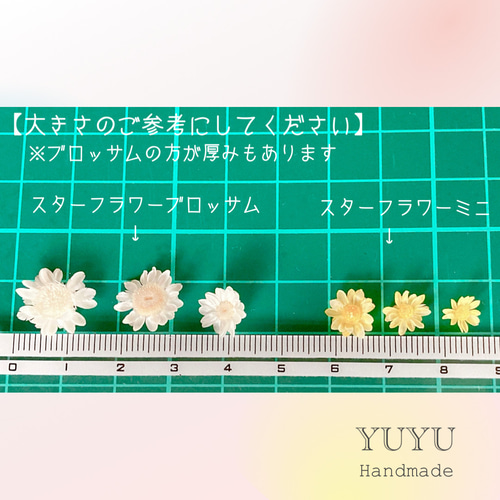 カラフル スターフィッシュ   ミニヒトデ　レジン ハーバリウム 楽天市場】天然 リアル ヒトデ 10枚入 □ レジン アクセサリー