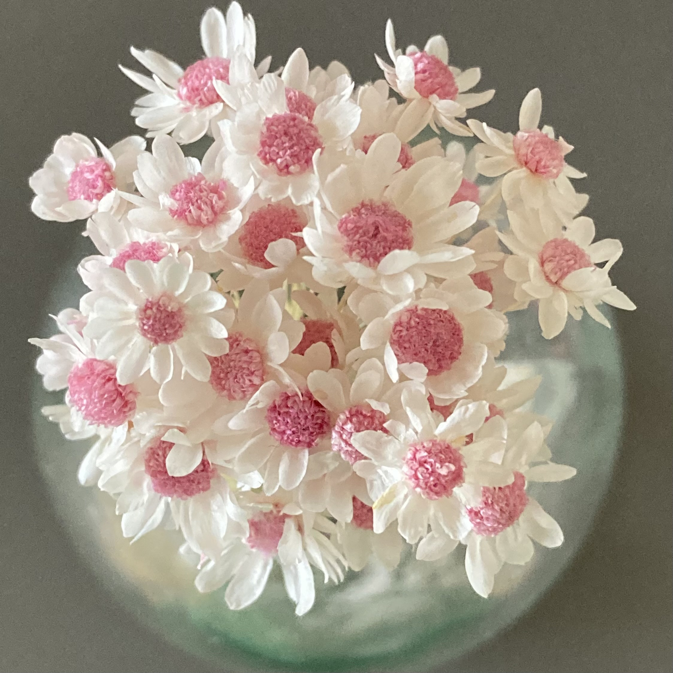 ハーバリウムボールペン　レジン スターフラワーミニ　オーダー 花材 アクセサリー