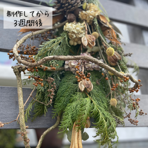 ナチュラルスワッグ 50cm スワッグ natur 通販 18437340｜Creema(クリーマ)