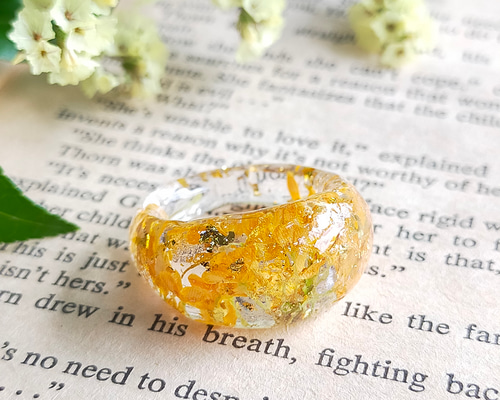 44475902640b5d51cebe18bcc2497c