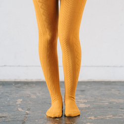 クリスマス限定 タイツ２足セット ウエストゴム調整 マタニティ対応　アランマスタード プランターチャコール 4枚目の画像