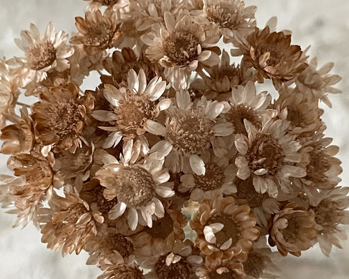 12fac5344623a0d6da27c64856514e