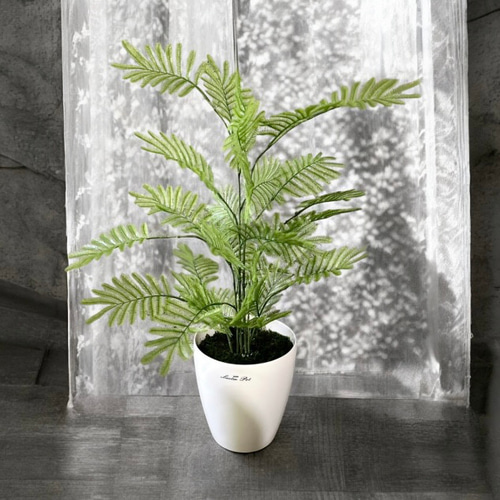 光触媒 人工観葉植物 フェイクグリーン ねむの木