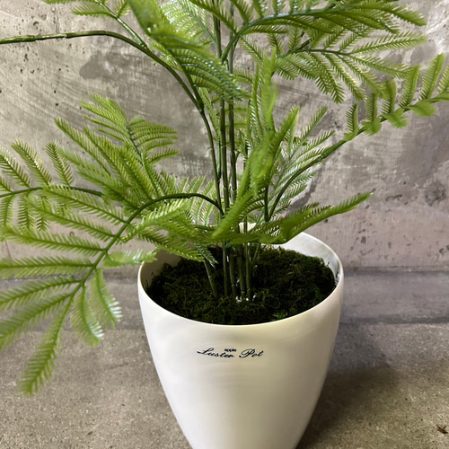 光触媒 人工観葉植物 フェイクグリーン ねむの木 エバーフレッシュ7454