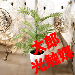 光触媒 人工観葉植物 フェイクグリーン ねむの木 エバーフレッシュ7454