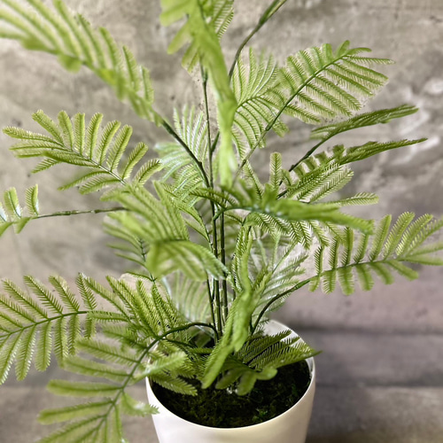 光触媒 人工観葉植物 フェイクグリーン ねむの木