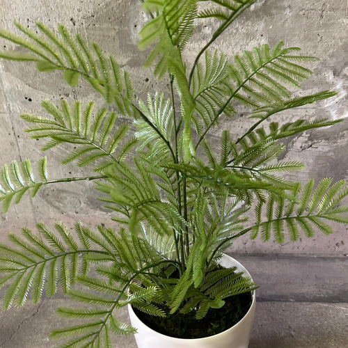 光触媒　人工観葉植物　ウォールグリーン　フェイクグリーン　ねむの木1.3 光触媒 人工観葉植物 ウォールグリーン フェイクグリーン