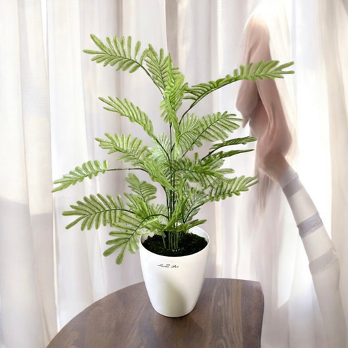 光触媒 人工観葉植物 フェイクグリーン ねむの木 エバーフレッシュ7454