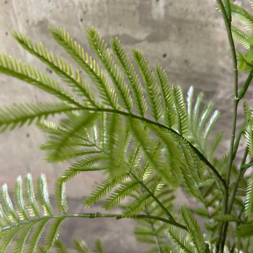 光触媒 人工観葉植物 フェイクグリーン ねむの木