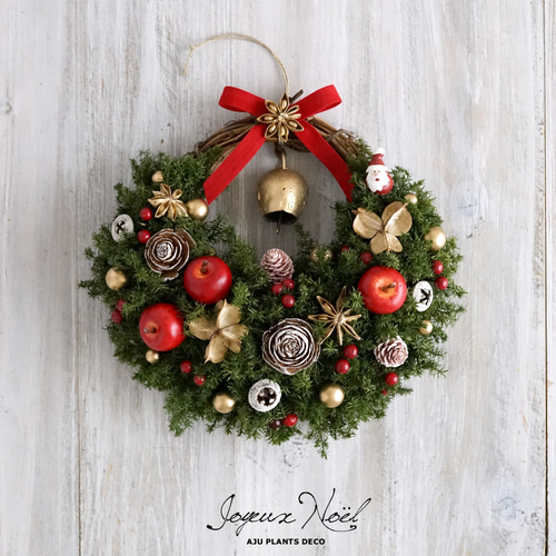 クリスマスリース(18) 22 X 20 cm ～ひょっこりサンタ～ リース AJU