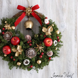 クリスマスリース(18) 22 X 20 cm ～ひょっこりサンタ～ リース AJU