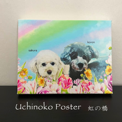  第1張的照片