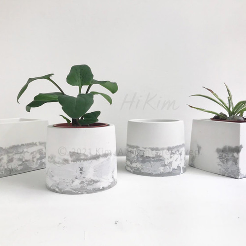 多肉植物用の丸型と四角型のセメント製鉢 / 手作りの台湾製多肉植物