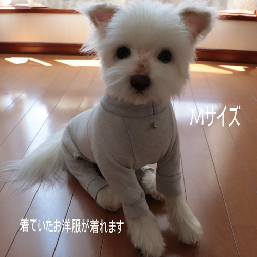 オーダーペットのぬいぐるみ リアルな犬猫ぬいぐるみ 等身大の