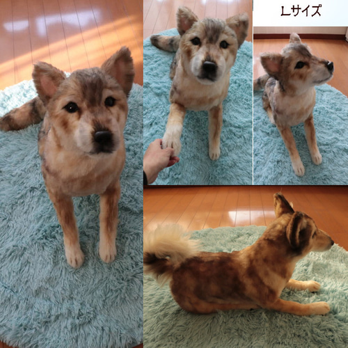 オーダーペットのぬいぐるみ リアルな犬猫ぬいぐるみ 等身大の