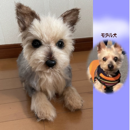 オーダーペットのぬいぐるみ リアルな犬猫ぬいぐるみ 等身大の