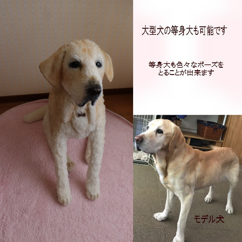 犬のぬいぐるみオーダー 犬のぬいぐるみ_セミオーダー_13cm】愛犬の写真1枚から
