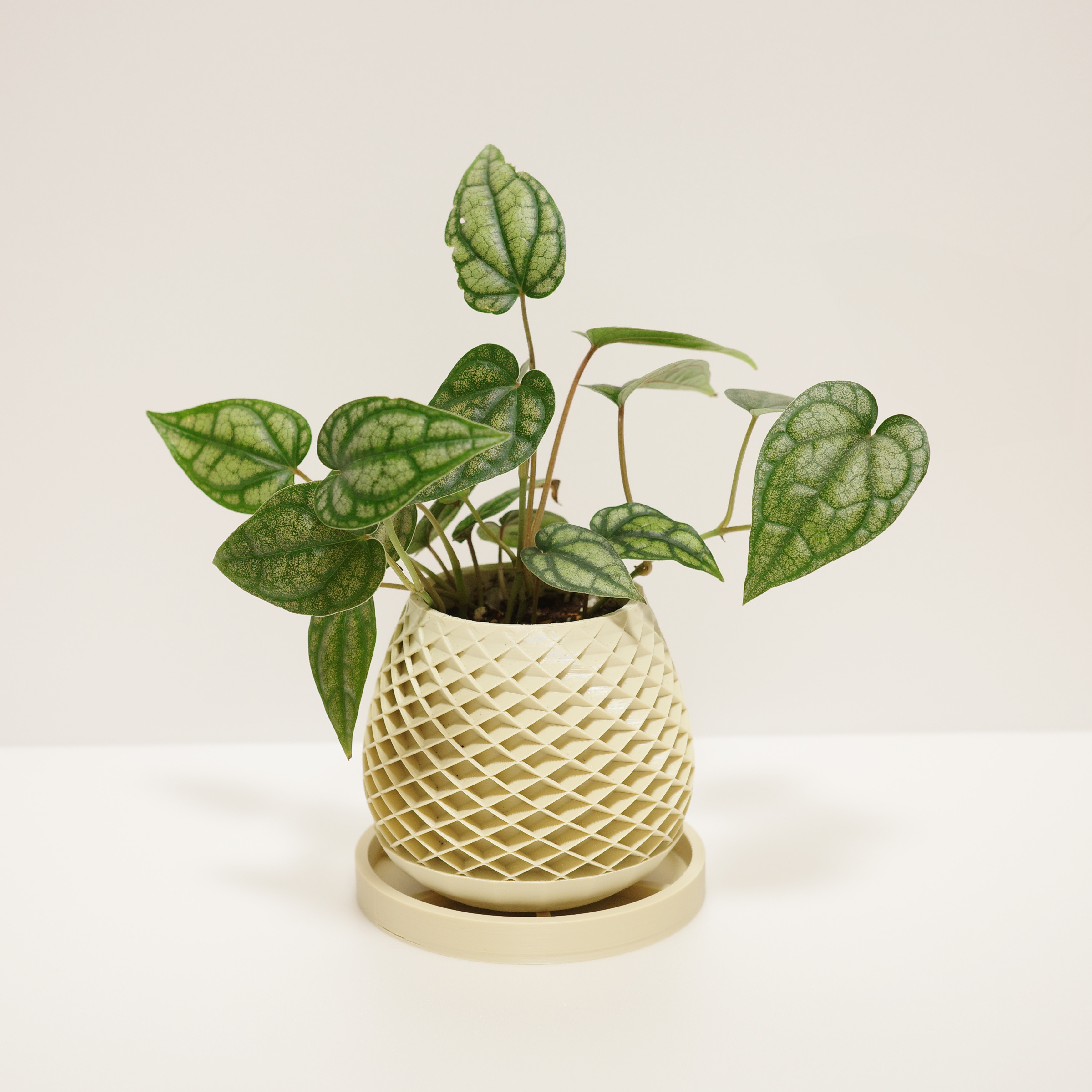 植木鉢セット デザイン VALIEM