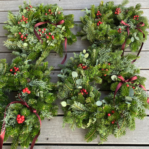早割【再販】【早割特別価格】フレッシュクリスマスリース35cm モミの