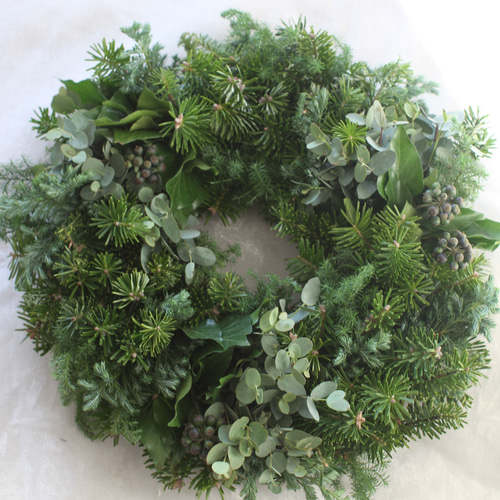 早割【再販】【早割特別価格】フレッシュクリスマスリース35cm モミの