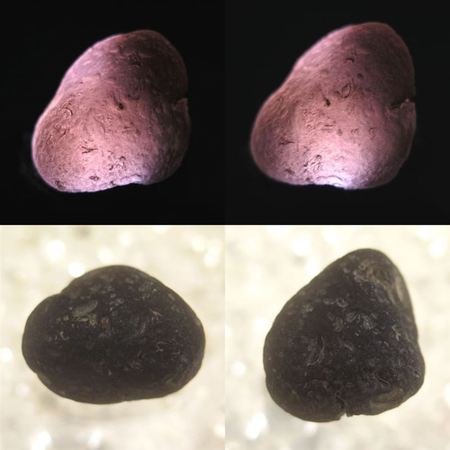 チンターマニ石 チンターマニストーン 原石 6.97g #88838 天然石 榎本