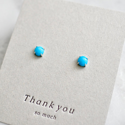 スリーピングビューティーターコイズピアス のおすすめ人気通販 検索