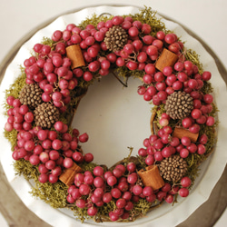 the coffee mame / X'mas ドライフラワー DAYFLOWERS 通販 18498206