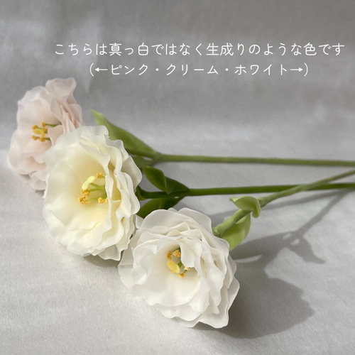 販売済の作品】やさしく透ける クリーム色のトルコキキョウ 2本セット