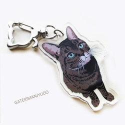 猫のアクリル画 トランクデザイン ゼンレスゾーンゼロ 白祇重工 影画PETクリアカード | 福猫屋