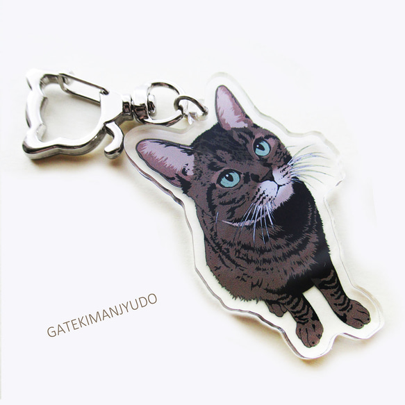 キジトラネコ　キーホルダーなし9点セット キジトラネコ キーホルダーなし 9点 キジトラ猫が遊んでほしそうにし