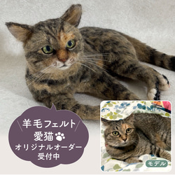 羊毛フェルト　オーダー猫　ぽんまる☆プロフ必読☆様ページ 羊毛フェルト【オーダーメイド】うちの子オーダー✴︎ネコ＊ねこ