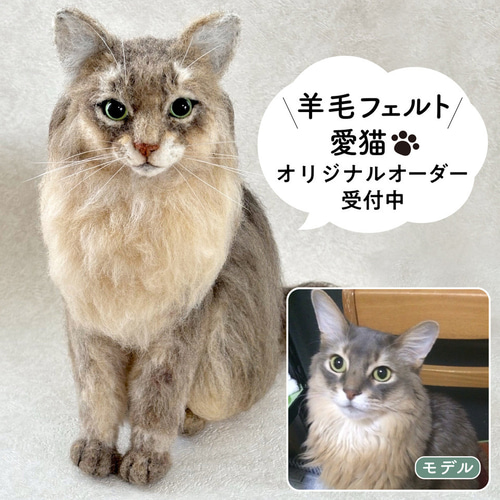羊毛フェルト【オーダーメイド】うちの子オーダー✴︎ネコ＊ねこ
