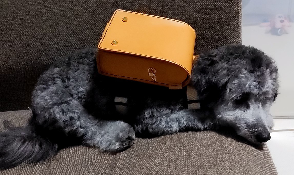 犬ランドセル♪小型犬用ランドセル♪ 土屋鞄のペットアイテムに新色バーガンディとペットランドセルの