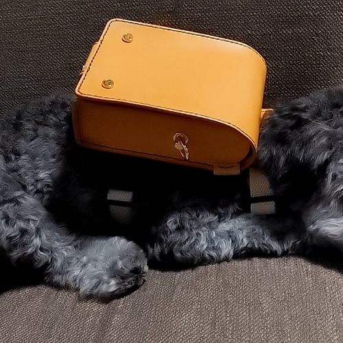 受注生産 】Mサイズ♪犬ランドセル♪小型犬ランドセル