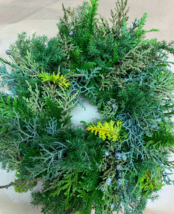 ご予約承り中！！11月下旬頃より発送致しますフレッシュ！シンプル