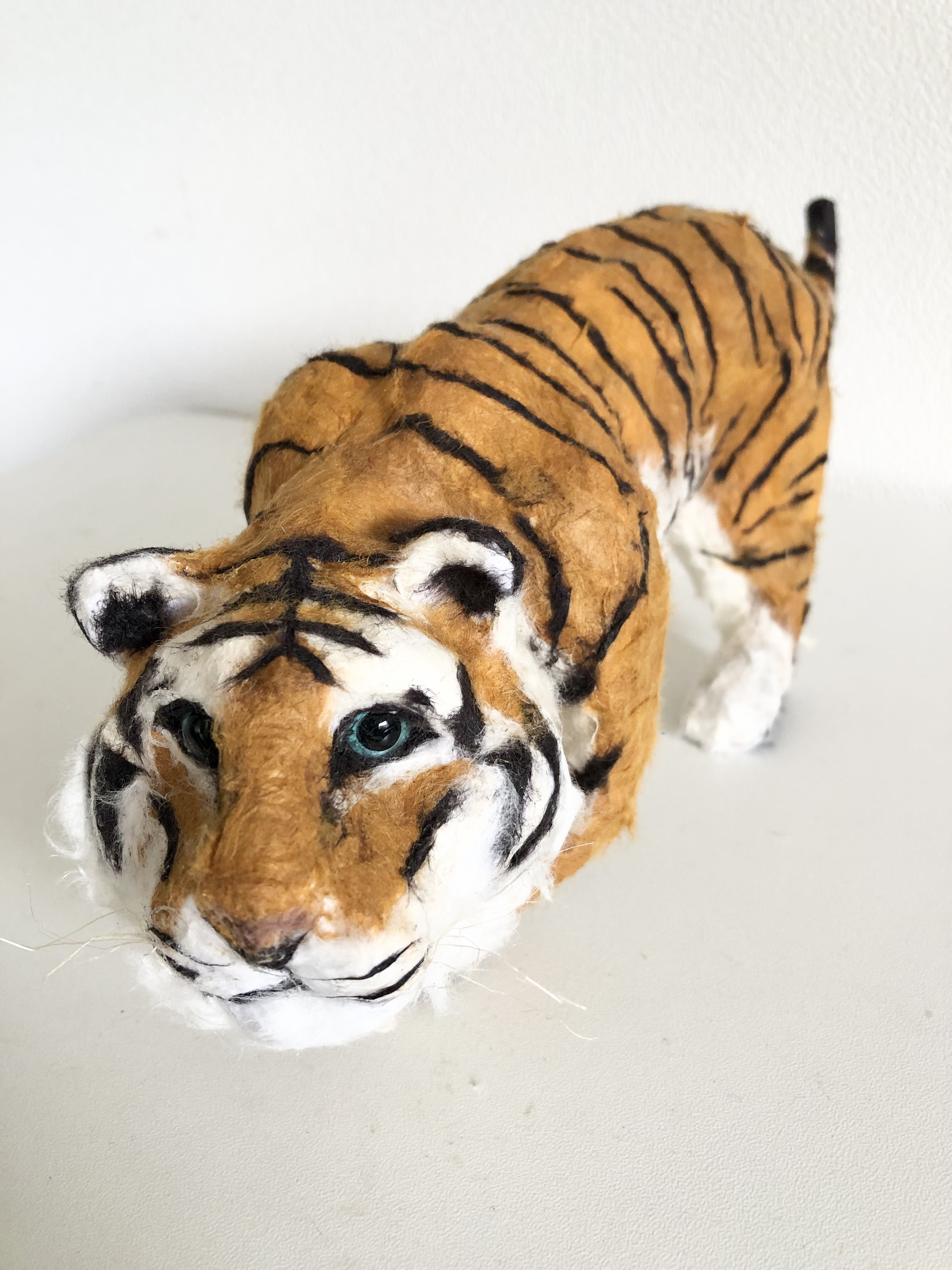 和紙のアムールトラ