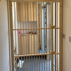 ★ 親子扉仕様 猫の脱走防止扉 ★ 13枚目の画像