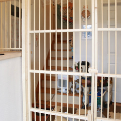 ★ 親子扉仕様 猫の脱走防止扉 ★ 18枚目の画像