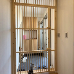 ★ 親子扉仕様 猫の脱走防止扉 ★ 10枚目の画像