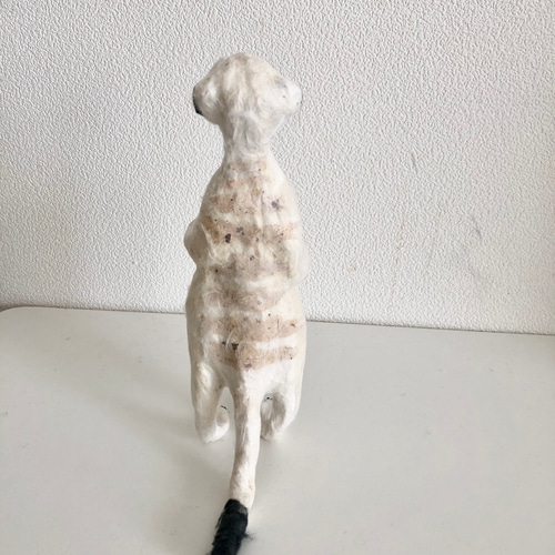 ミーアキャット　4枚 8f86dff244f20a4ef2461f26945131