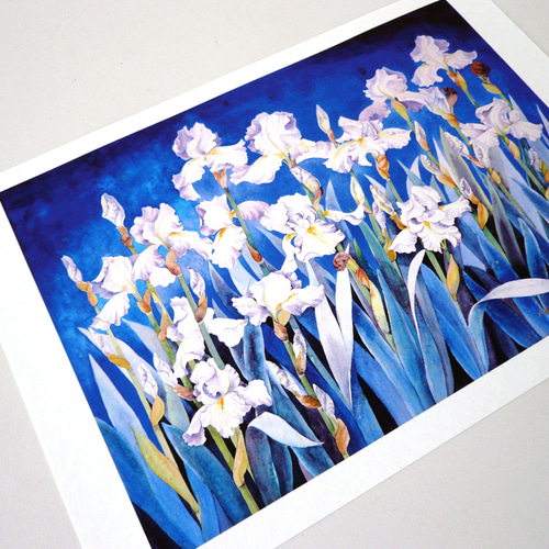アイリスの(水彩画 2018年 ) Amazon.co.jp: 水彩画イラスト紫色のアイリスの花植物 絵画