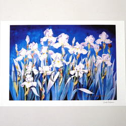 アイリスの水彩画額装済み アイリスの水彩画額装済み b95ea3d9483db59494f352822a6bb2
