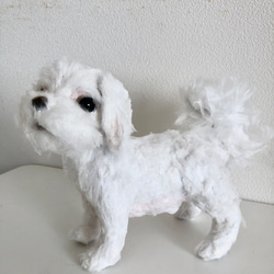 45ed0d9dd000931c1178f2029746a6