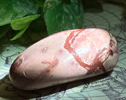 12c4aa7ddcbce275c52127f80341c4