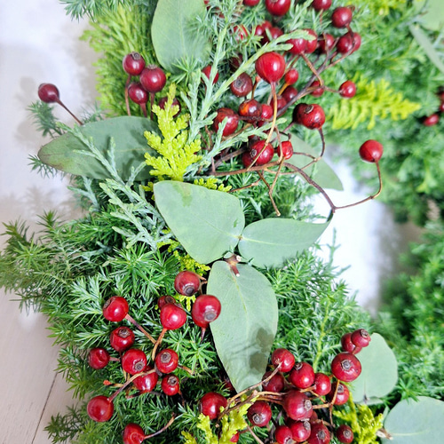 針葉樹香るクリスマスフレッシュリース/野バラの実/選べる2サイズ/玄関