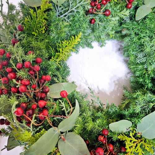 針葉樹香るクリスマスフレッシュリース/野バラの実/選べる2サイズ/玄関