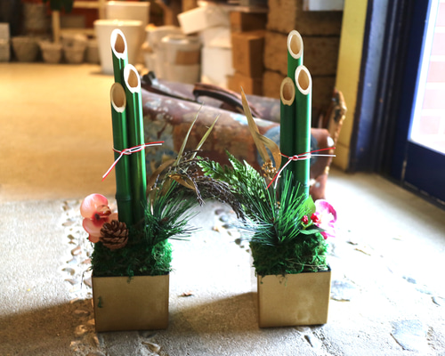 d804863a7d83bf25b467d15ce39554